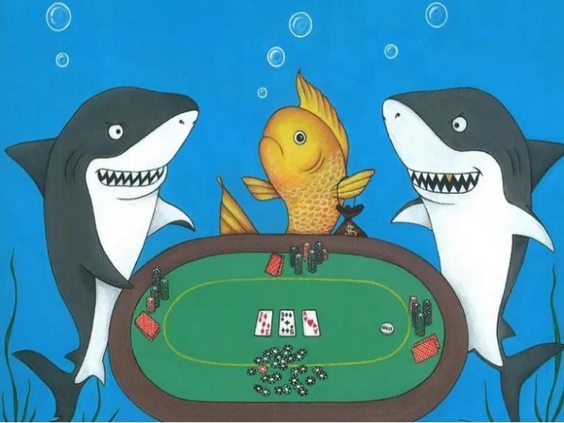 fish-trong-poker